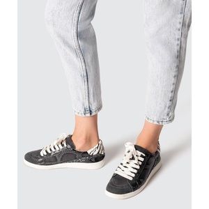 Dolce Vita Nino Sneakers in Charcoal Snake & Zebra